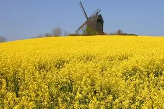 Landschaft