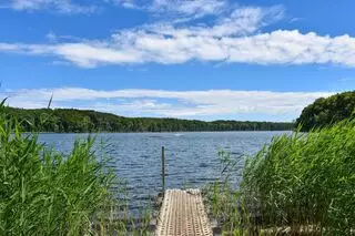 Landschaft